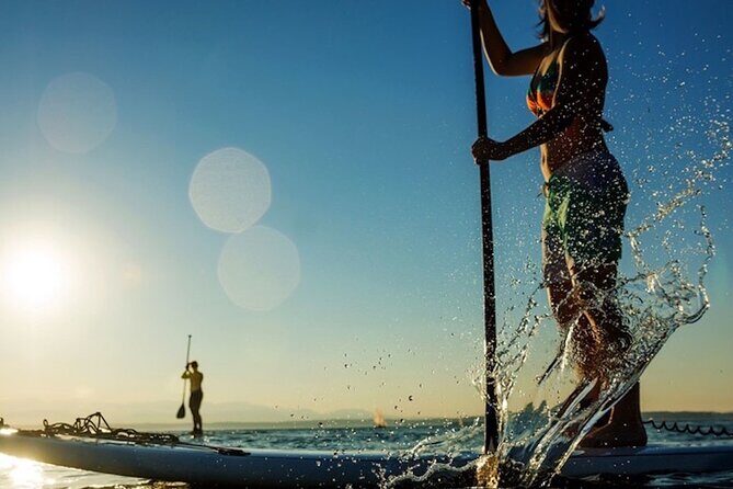 Santa Barbara Kayak or Stand Up Paddle Rental - Why This Water Rental Is a Great Choice