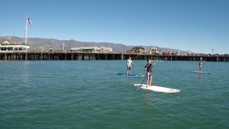 Santa Barbara: Stand-up Paddle Board Rental - Setting the Scene: What to Expect from Your Paddleboard Adventure