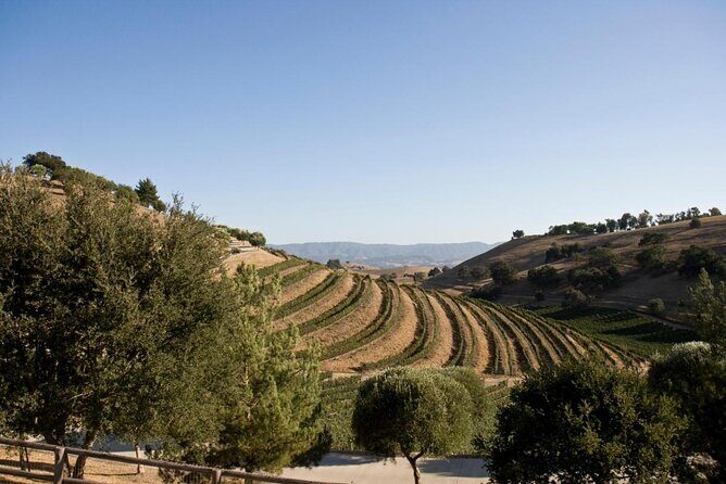 Santa Barbara Wine Country Tour - Key Points