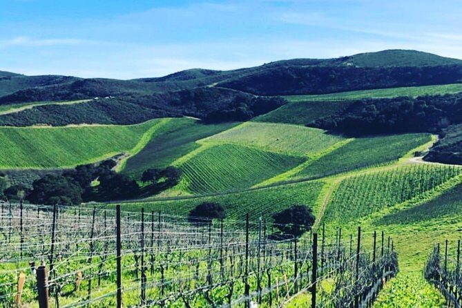 Santa Barbara Wine Country Tour - Final Thoughts