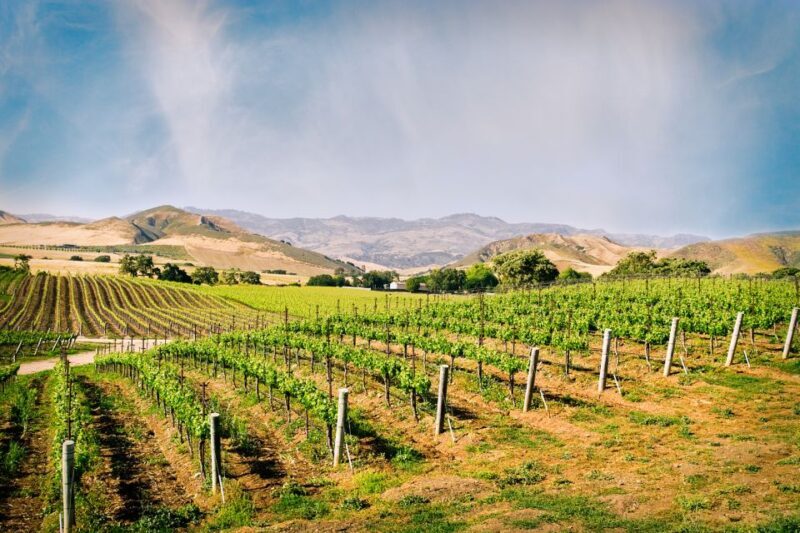 Santa Barbara: Wine Country Tour with Lunch - The Sum Up — Is This the Right Tour for You?