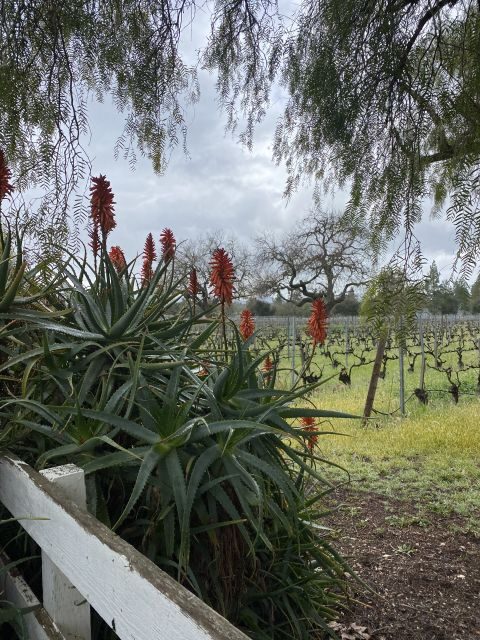 Santa Barbara: Wine Country Tour with Lunch - FAQ