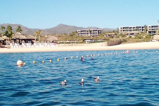 Santa Maria and Chileno Bay Snorkel Adventure Los Cabos - Santa Maria Cove: Calm, Clear, and Colorful