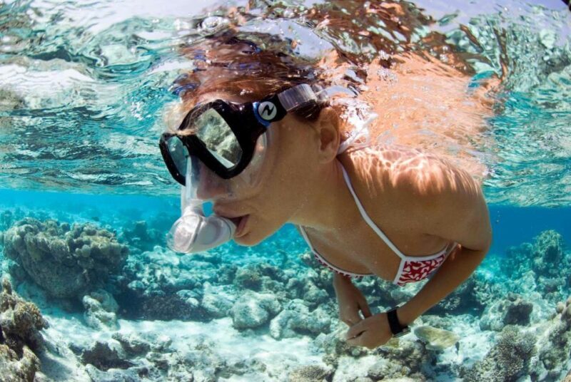 Santa Maria: Guided Snorkeling Shipwreck and Reef Tour - Key Points