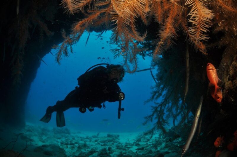 Santa Maria: Open Water Diver - PADI or SSI Course - Key Points
