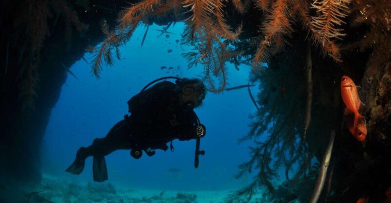 Santa Maria: Open Water Diver - PADI or SSI Course - Authentic Experiences and Reviews