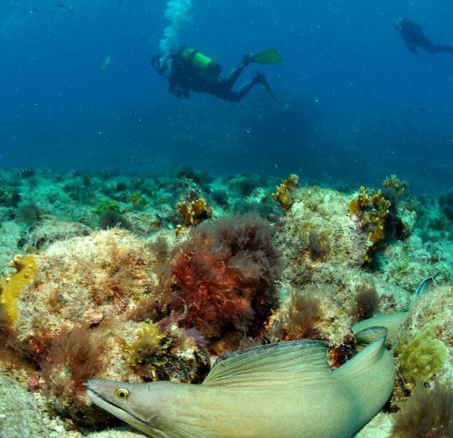 Santa Maria: Open Water Diver - PADI or SSI Course - What You Need to Bring