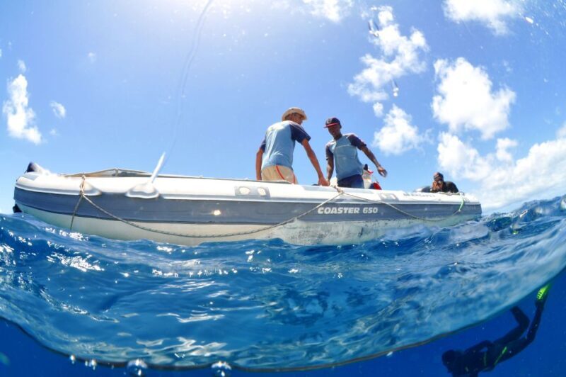Santa Maria: Review Diving Course with 2 Guided Dives - An Overview of the Experience