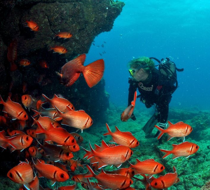 Santa Maria: Review Diving Course with 2 Guided Dives - What to Expect on the Practical Side