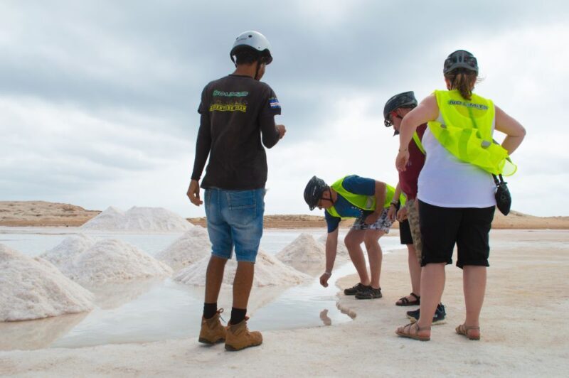 Santa Maria: Scenic Segway Tour with Guide - Key Points