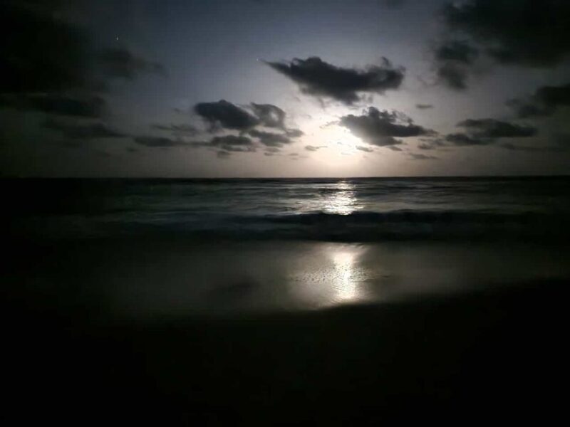 Santa Maria: Sea Turtle Watching Experience on Sal Island - Timing & Flexibility