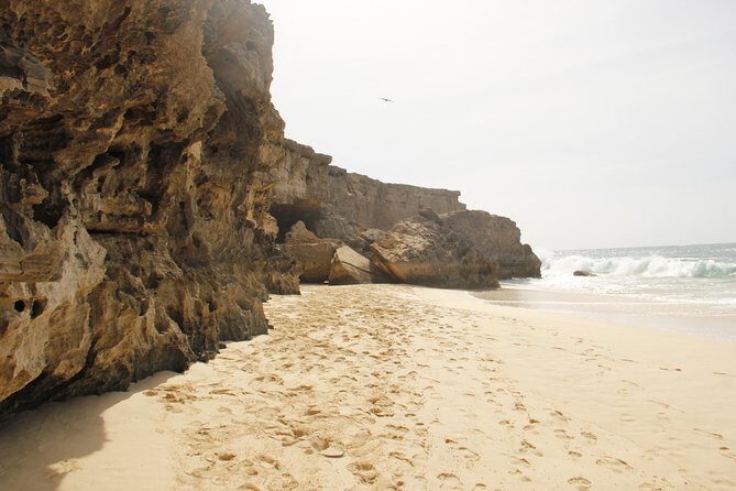 Santa Monica NO Stress Tour - The Sum Up: Is the Santa Monica No Stress Tour Worth It?