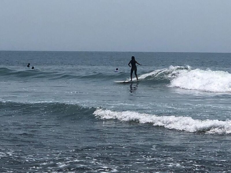 Santa Monica: Surfing Day Trip with Lunch - A Complete Breakdown of the Itinerary
