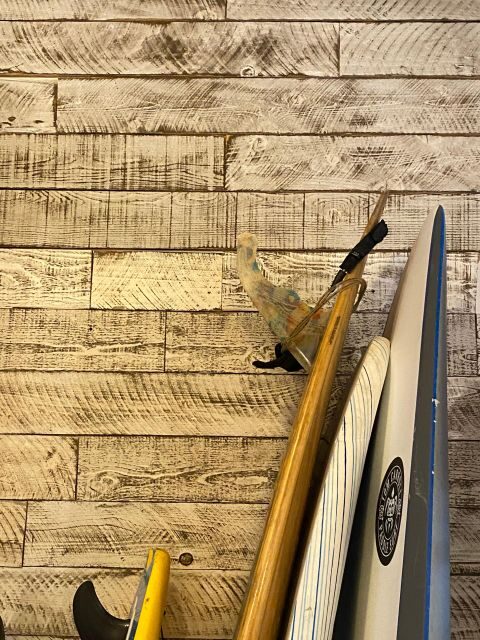 Santa Monica: Surfing Day Trip with Lunch - Who Should Consider This Tour?