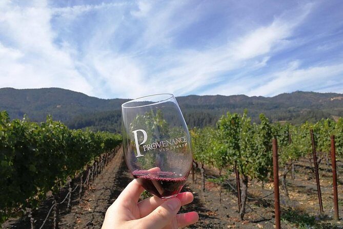 Santa Rosa North Sonoma County Small Group Winery Tour - Who Should Consider This Tour?