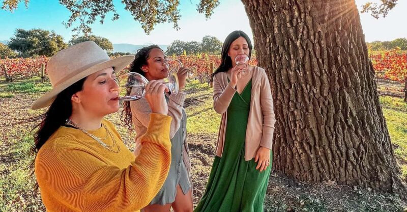 Santa Ynez: Private Wine Tour - An In-Depth Look at the Santa Ynez Private Wine Tour