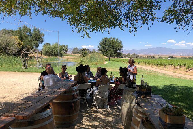 Santa Ynez Valley Private Wine Tours from Santa Barbara - An In-Depth Look at the Tour Experience