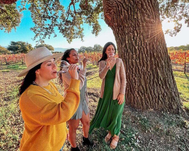 Santa Ynez: Wine Country Tour - The Value and Price Point