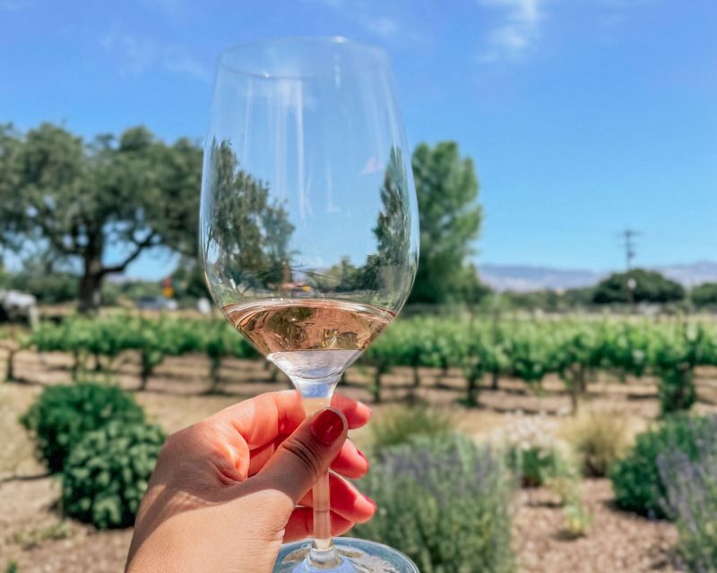Santa Ynez: Wine Country Tour - The Experience of the Wineries
