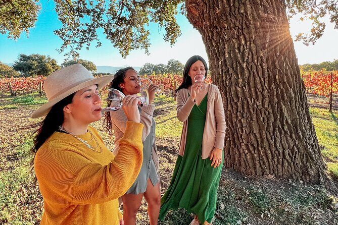 Santa Ynez Wine Tour (All-Inclusive) - An In-Depth Look at the Santa Ynez Wine Tour