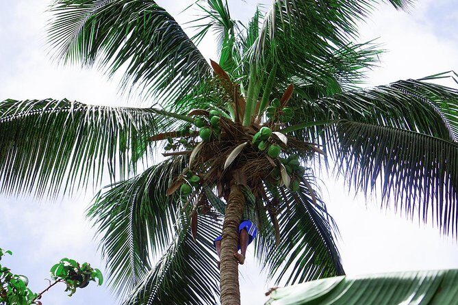Santiago Island: Banana Plantation, Natural Park & Workshop with a local family - Why This Tour Is Worth It
