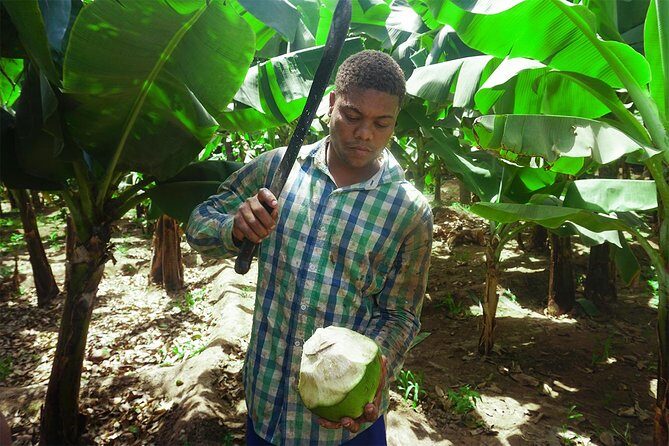 Santiago Island: Banana Plantation, Natural Park & Workshop with a local family - Final Thoughts