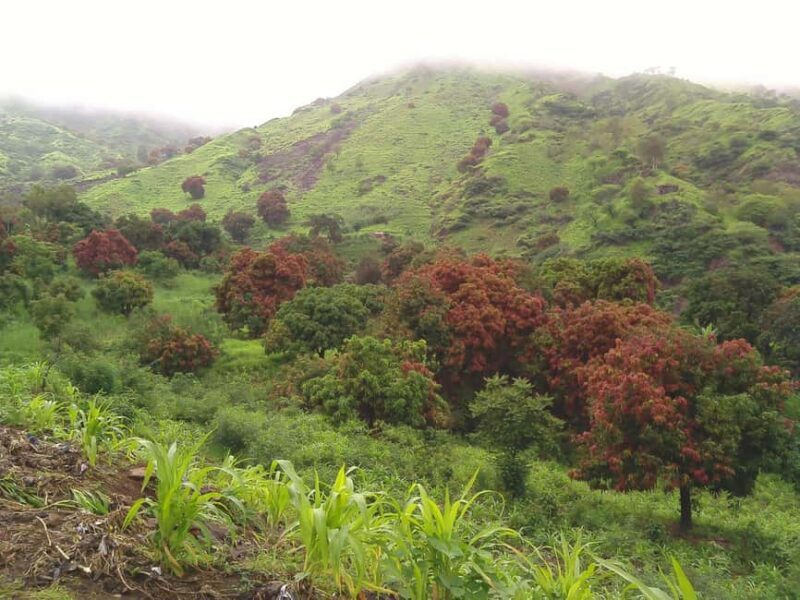 Santiago island: Pico de Antónia and Monte Tchota Trek - Exploring Santiago’s Natural Grandeur: What the Tour Offers