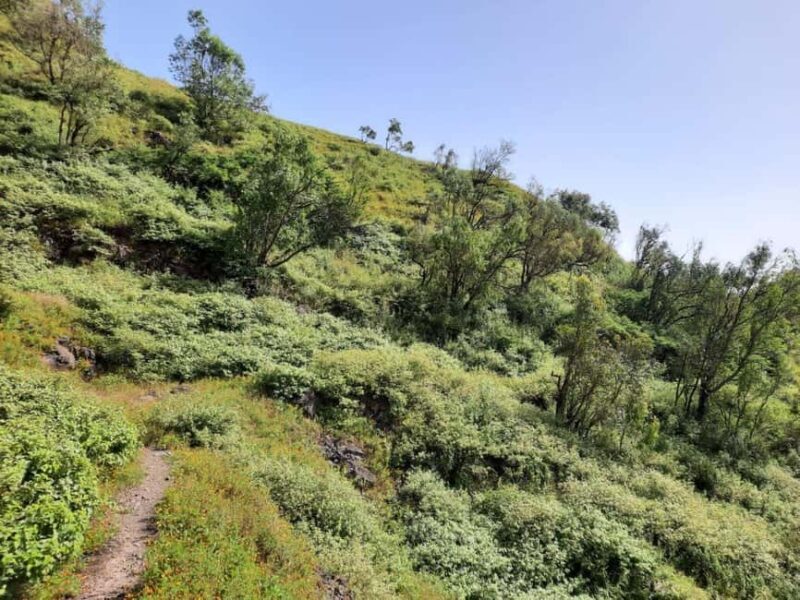 Santiago island: Pico de Antónia and Monte Tchota Trek - What Travelers Are Saying