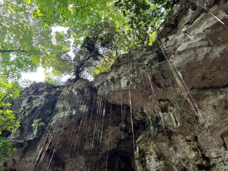 Santo Domingo City Tour From Punta Cana - Final Thoughts