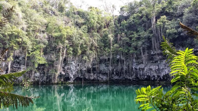 Santo Domingo: Natural Treasures of the City - Final Thoughts: Who Should Consider This Tour?