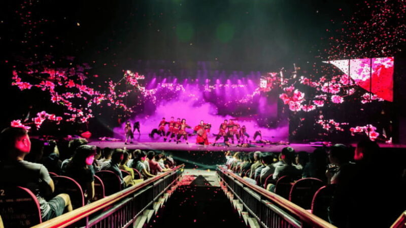 Sanya: The Legend of Romance Scenic Area Show Tickets - An Overview of the Performance and Its Setting