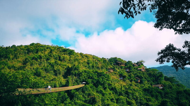 Sanya: Yalong Bay Tropical Forest Ticket and Tour Car - Who Will Love This Tour?