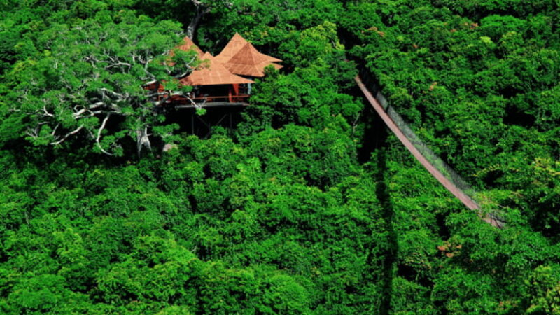 Sanya: Yalong Bay Tropical Forest Ticket and Tour Car - Final Thoughts