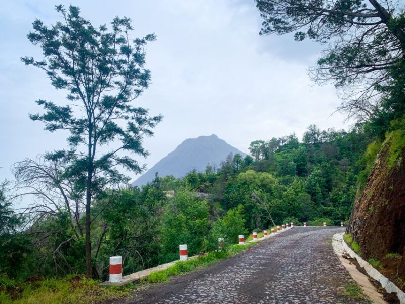 Sao Filipe: Coffee Plantation and Natural Pools Day Trip - Who Will Love This Tour?