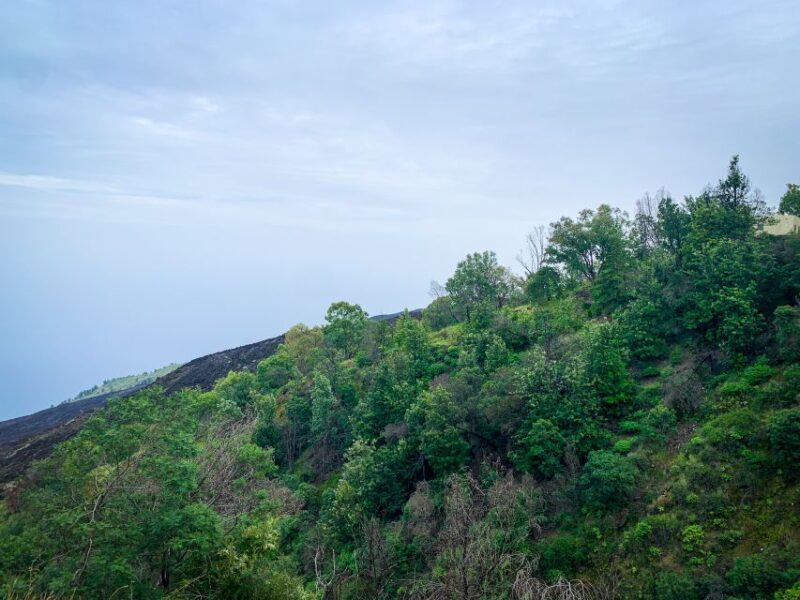 Sao Filipe: Coffee Plantation and Natural Pools Day Trip - FAQ