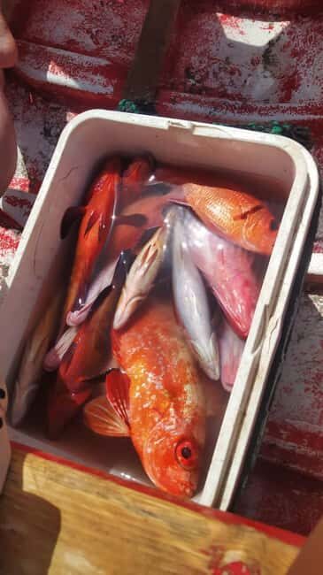 São Pedro Fishing Tour - An In-Depth Look at the São Pedro Fishing Tour