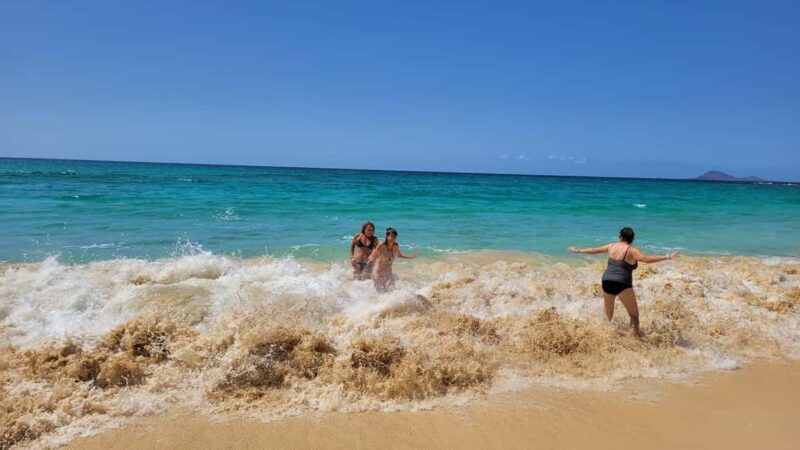 São Vicente Full Day - The Itinerary: A Day Packed with Highlights