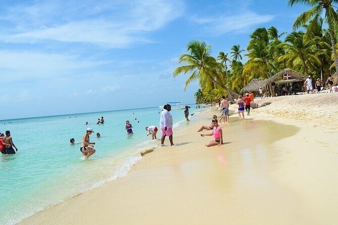 Saona Bayahibe Island Day Trip - The Details of the Saona Island Day Trip