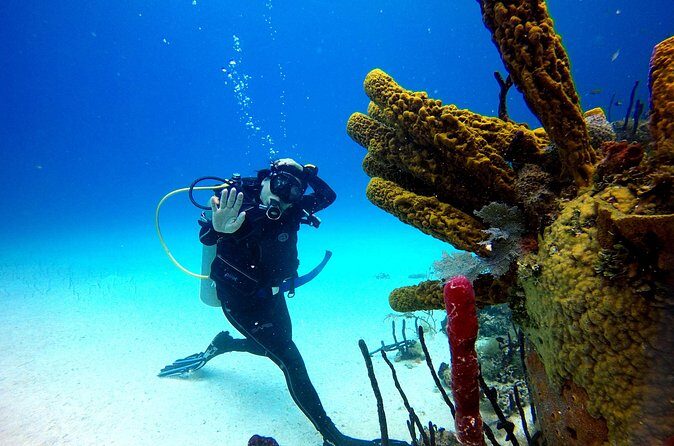 Saona Diving - Group Size and Guidance