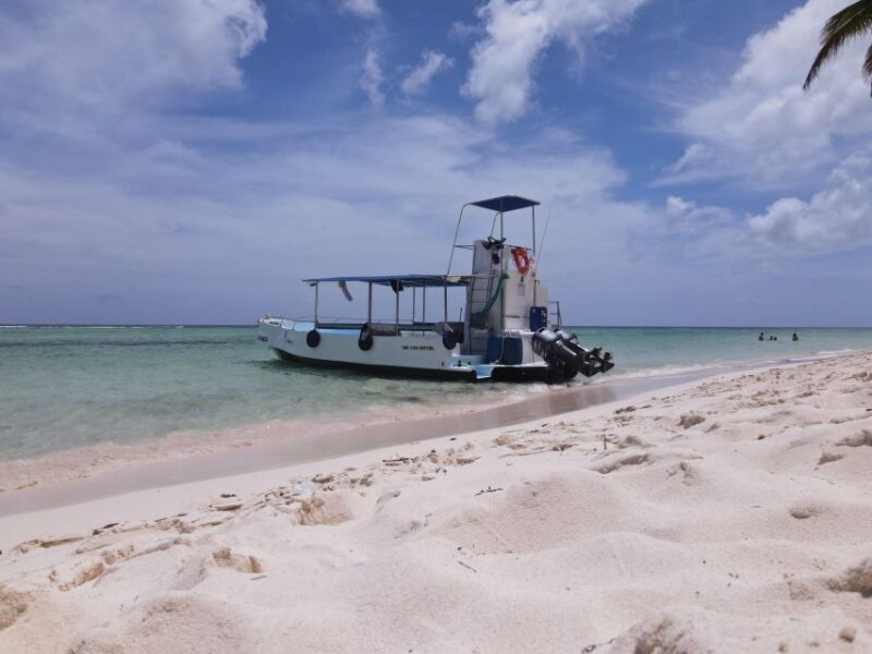 Saona Island: Beach & Natural Pool Small-Group Tour w/ Lunch - FAQs