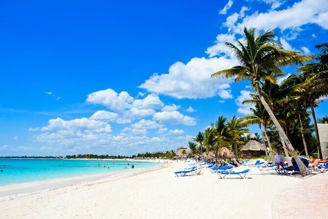 Saona Island Catamaran For Small Group Hotel Pick Food Drink - Key Points