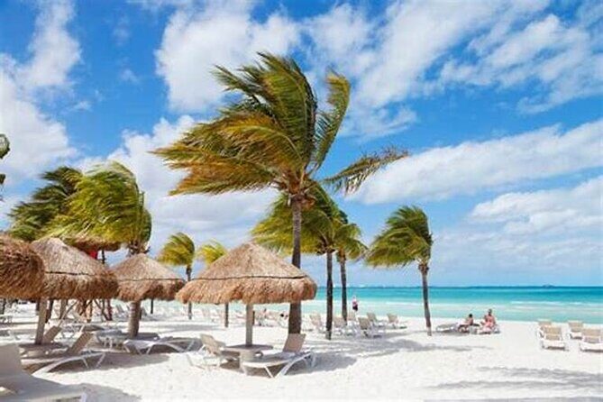 Saona Island Catamaran For Small Group Hotel Pick Food Drink - An Overview of the Saona Island Catamaran Tour