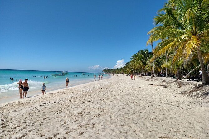 Saona Island Catamaran For Small Group Hotel Pick Food Drink - Transportation and Group Size