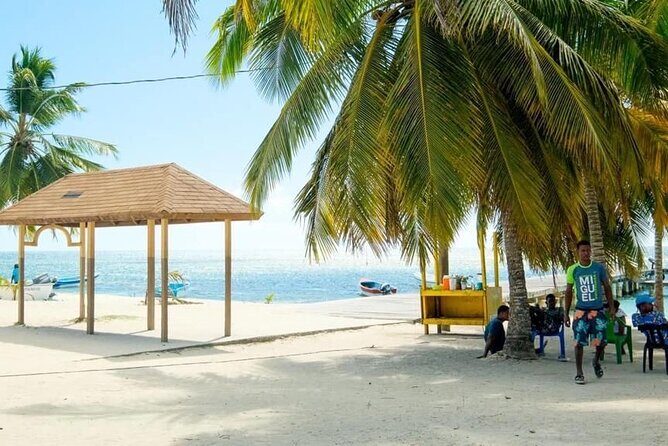 Saona Island Catamaran For Small Group Hotel Pick Food Drink - The Value of the Tour