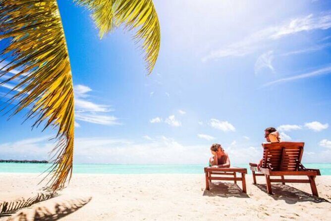 Saona Island Catamaran For Small Group Hotel Pick Food Drink - Who Will Love This Tour?