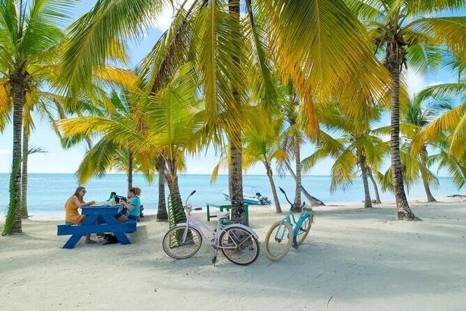 Saona Island Catamaran For Small Group Hotel Pick Food Drink - The Sum Up