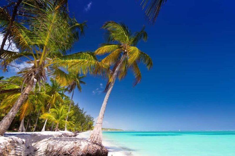 Saona Island: Catamaran/Speedboat Tour to a Dream Beach - FAQs
