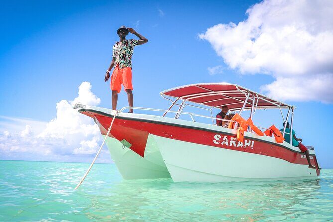 Saona Island Catamaran Tour Buffet & Open Bar from Punta Cana - Who Will Love This Tour?