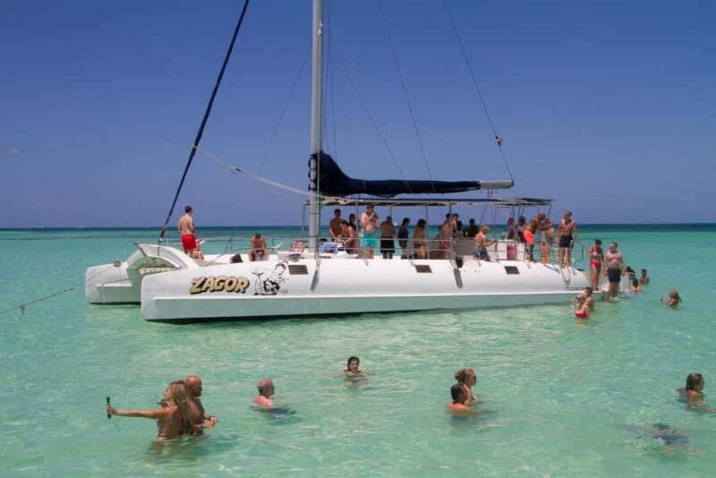 Saona Island Comfort Experience by Catamaran - Setting the Scene: What This Tour Offers
