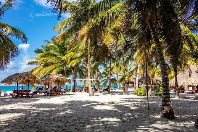Saona Island Cruise & Private Beach - Who Is This Tour Best For?